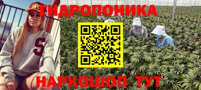 герыч Тверь