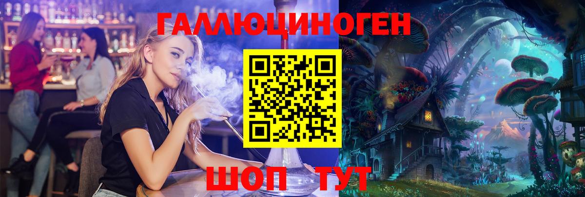 Псилоцибиновые грибы Psilocybine cubensis Ачинск